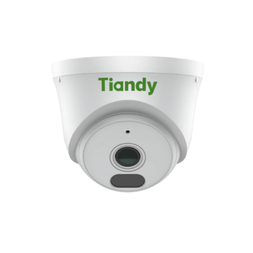 Cámara IP Tiandy Domo 2 Mp AK TC-C320N Policarbonato V2