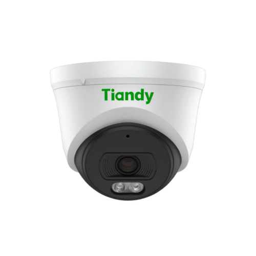 Cámara IP Tiandy Domo 2 Mp AK TC-C320N Metálica