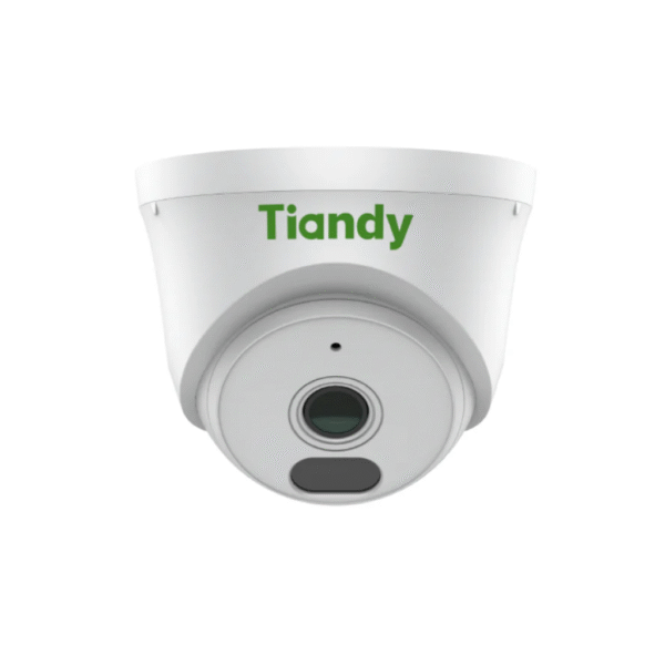 Cámara IP Tiandy Domo 2 Mp AK TC-C320N Policarbonato
